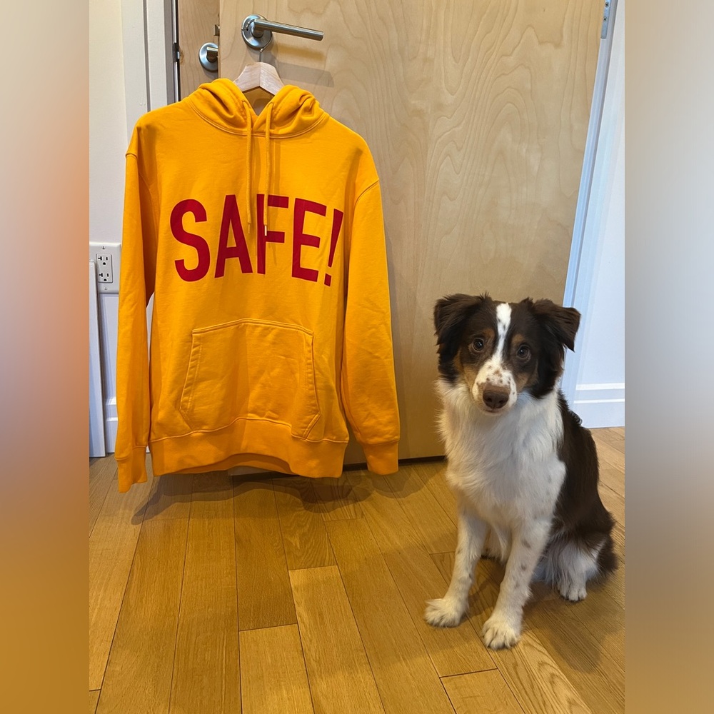 PALACE SAFE T HOOD/ SIZE LARGE
